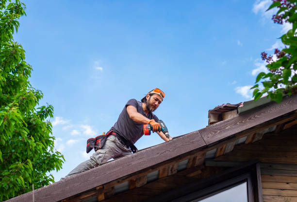 Best Gutter Installation and Repair  in Woodstock, VA