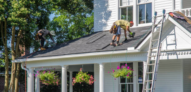 Best Roof Leak Repair  in Woodstock, VA